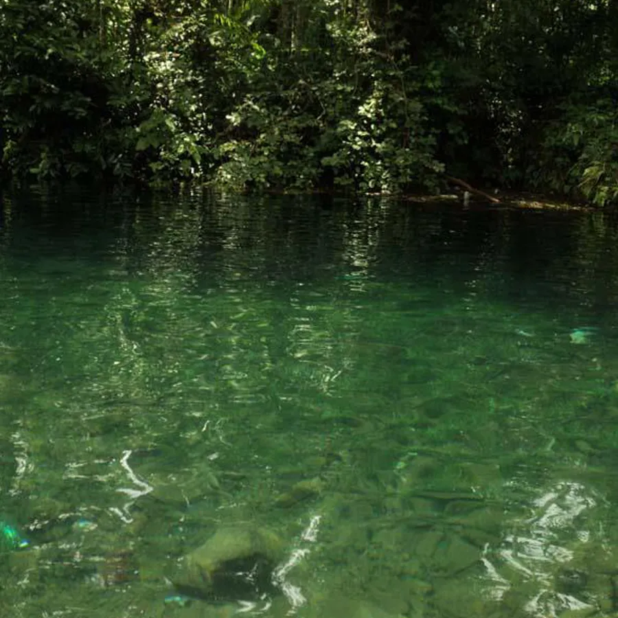 favourite pond