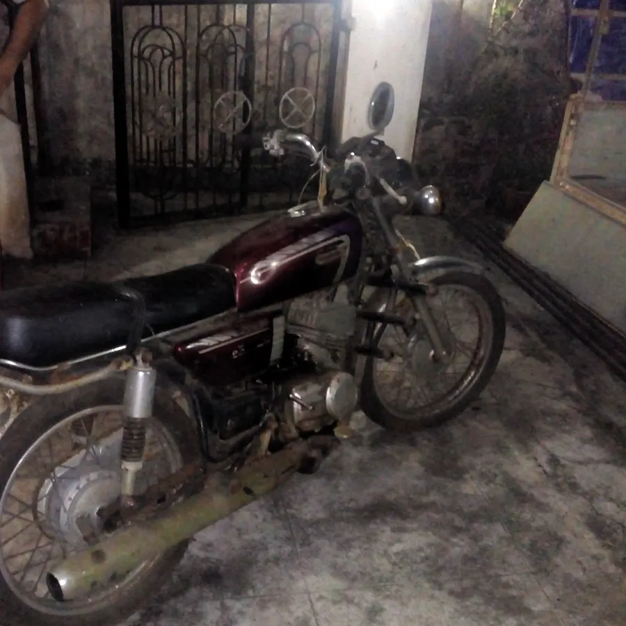 yamaha RXG 